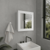 Luma Mirror Medicine Cabinet