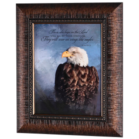 Framed Wall Art Those Who Hope Is.40:31