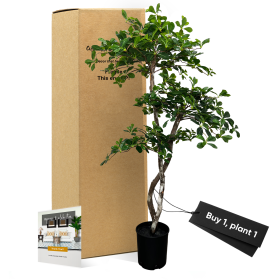 Handmade 5' Black Olive Leaf Artificial Tree with Ethically Sourced Real Wood Trunks