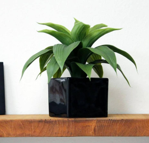 Black Fabric Textured Shower Curtains With Metal Hooks