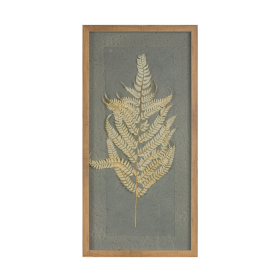 Dried Fern Frame