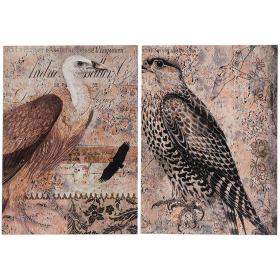 Set of 2 Antique Post Card Birds Wall Art