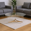41" Clear and Gold Glass Acrylic and Brass Round Coffee Table