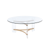 41" Clear and Gold Glass Acrylic and Brass Round Coffee Table