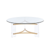 41" Clear and Gold Glass Acrylic and Brass Round Coffee Table