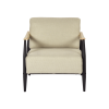 UpholsteCushion Wood Arm Chair