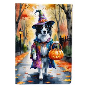 Border Collie Halloween Trick or Treat House Flag Large Porch Sleeve Pole Decorative Outside Yard Banner Artwork Wall Hanging, Polyester, House Size,