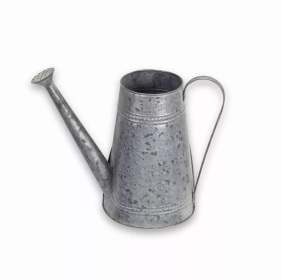 Water Can (Set of 2) 11.25"H Metal