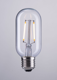 E26 T45 2W LED 110 x 45 mm Clear