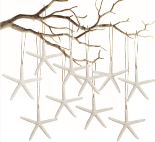 20 PCS Christmas Starfish Hanging Ornaments 3-4'' Natural Starfish With Rope