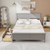 Full Size Grey Platform Bed Frame with 2 Storage Drawers