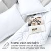 Queen size Super Soft Microfiber Down Alternative Comforter Set White