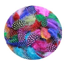 200 Pcs DIY Craft Colorful Feathers Jewelry Accessories Home Decor, 1-3 Inches