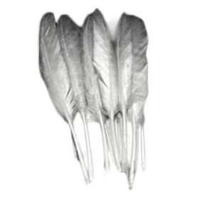 50 Pcs 4-6 Inch DIY Silver Feathers for Dream Catcher Crafts Clothing Decoration Jewelry Making