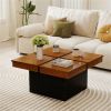 Modern Square Floating Coffee Table Okume Wood Veneer 4-Section Storage Walnut & Black