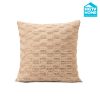 HGTV Art Deco Brushed Faux Fur Pillow Nomadic Desert 22 x 22 inches