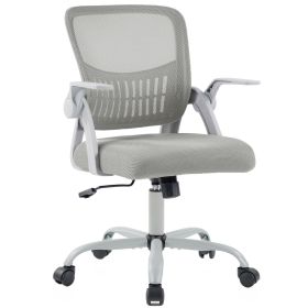 Desk Chair with Ergonomic Lumbar Support, Flip-Up Armrests & Removable Footrest - 250lbs Capacity, Suitable for Home, Office, Bedroom, Gray