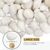 38LBS Large White River Rocks 2-3 Inch - Natural Polished Pebbles for Landscaping, Garden Decor, Aquariums, Decorative Stones for Pathways, Planters