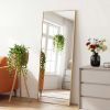 65"x24" Rectangle Full Length Mirror, Full Body Standing Mirror Floor Mirrors, Gold