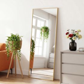 65"x24" Rectangle Full Length Mirror, Full Body Standing Mirror Floor Mirrors, Gold