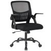Desk Chair with Ergonomic Lumbar Support, Flip-Up Armrests & Removable Footrest - 250lbs Capacity, Suitable for Home, Office, Bedroom, Black