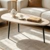 Gray Stylish Irregular Shape Coffee Table, Heavy-Duty Metal Base Oval Sofa Side Table, Multifunctional Decor Center Table for Home Living Room
