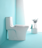 15 1/8 Inch 1.1/1.6 GPF Dual Flush 1-Piece Elongated Toilet with Soft-Close Seat - Gloss White 23T02-GW