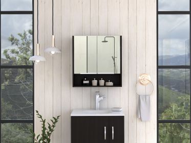 Jaspe Mirror Cabinet; Three Internal Shelves; One Open Shelf; Double Door Cabinet -Black