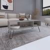 Coffee Table 15.7" H, with 4 Legs and 2 Shelves, White