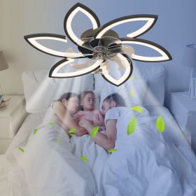 Acrylic Ceiling Fan