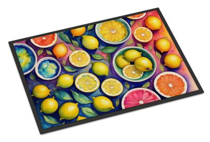 NEW Colorful Lemons Doormat Front Door Mat Indoor Outdoor Rugs for Entryway, Non Slip Washable Low Pile, 18H X 27W