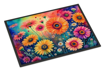NEW Gerbera Daisies in Color Doormat Front Door Mat Indoor Outdoor Rugs for Entryway, Non Slip Washable Low Pile, 18H X 27W