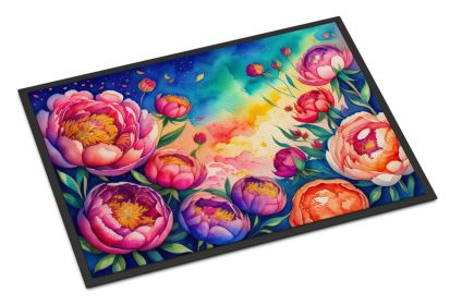 NEW Peonies in Color Doormat Front Door Mat Indoor Outdoor Rugs for Entryway, Non Slip Washable Low Pile, 18H X 27W
