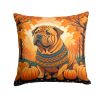 Shar Pei Fall Throw Pillow Machine Washable, Indoor Outdoor Decorative Pillow for Couch, Bed or Patio, 14Hx14W
