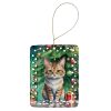 Pixie Bob Cat By the Christmas Tree Porcelain Ornament Christmas Tree Hanging Decorations for Home Christmas Holiday, Rectangle, Gift, Multicolor