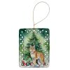 Highlander Lynx Cat By the Christmas Tree Porcelain Ornament Christmas Tree Hanging Decorations for Home Christmas Holiday, Rectangle, Gift