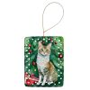 Oregon Rex Cat By the Christmas Tree Porcelain Ornament Christmas Tree Hanging Decorations for Home Christmas Holiday, Rectangle, Gift, Multicolor