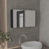 Medicine Cabinet 19.70" H, with 2 Doors, 3 Shelves, 2 Mirrors, Black