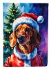 Red Dachshund Christmas House Flag Large Porch Sleeve Pole Decorative Outside Yard Banner Artwork Wall Hanging, Polyester, House Size, Multicolor