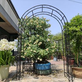 Metal Garden Arch L59'' x W17.71'' x H90.55'' Climbing Plants Support Rose Arch Outdoor Black