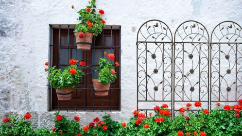 4 Pack Metal Garden Trellis 86.7" x 19.7" Rustproof Trellis for Climbing Plants Outdoor Flower Support Brown