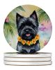 Cairn Terrier Luau Large Sandstone Coasters Pack of 4 Absorbent Round Coasters Decor Gifts for Men or Women, 4 in, Multicolor