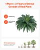 2 Pcs Artificial Boston Ferns Plastic Fern 50 Branches Indoor Outdoor Decor