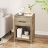 Nightstand with Drawer and Shelf