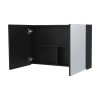 Black Medicine Cabinet with Included Mirrors and 2 Doors