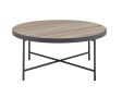 Bage Weathered Gray Oak & Metal Finish Coffee Table