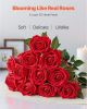 60 Pcs Red Roses Artificial Flowers Realistic Bouquet for Xmas Home Decor