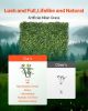 Artificial Grass Wall Panels 40 x 120 in Milan Grass Greenery for Decor Privacy