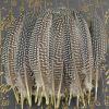 50 Pcs Artificial Chicken Feathers Spotted Feathers for DIY Craft, Jewelry Clothing Decor, 4-8 inch