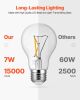 6 Pack Edison Bulbs LED A19 4.5W Dimmable 450 Lumens 2700K E26 Antique